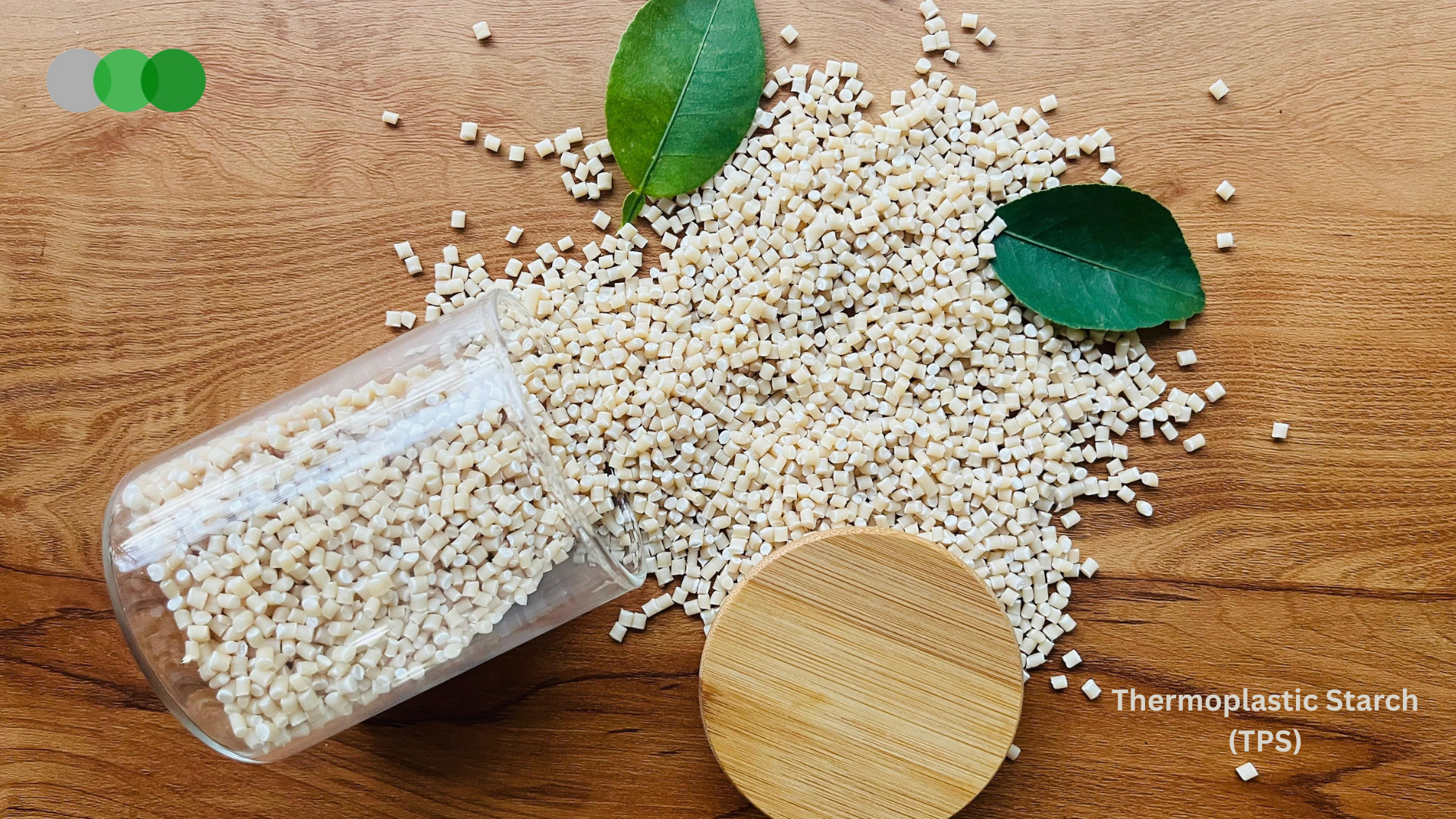Thermoplastic Starch Granules